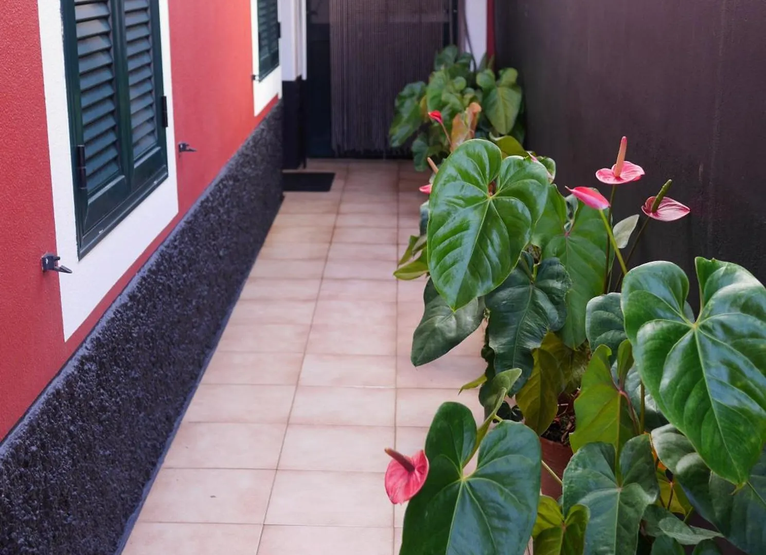 شقة Sea & Mountain View Lombo De Cima House Bbq & Wifi سانتانا البرتغال